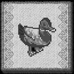Young S.Duck 