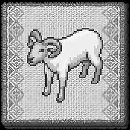 Young Sheep