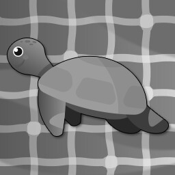 Turtle friends