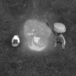 Cooking in the Wild