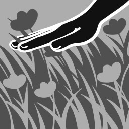 Touch Grass