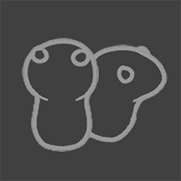 DUO