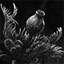 Research:  Halid Zoa