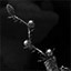 Research:  Ledon Zoa