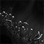 Research:  Fertile Terrain