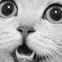 CATMINER