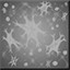 Flurries