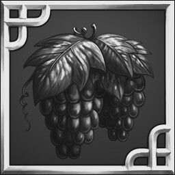 Vineyard