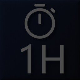 1 hour