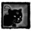 Hire a Black cat
