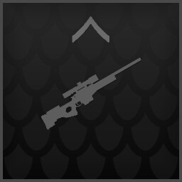 AWEP45 Rookie