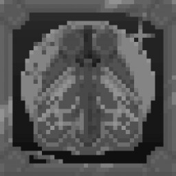 Completionist