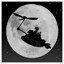To the moon and back