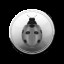 Coccinellidae