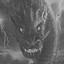 The Dragon Never Sleeps