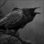THE CROW