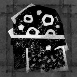 Black Shield