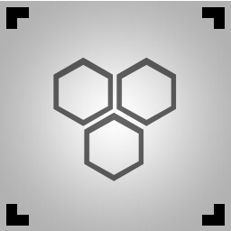 Bee's Nest