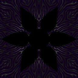 Zenith