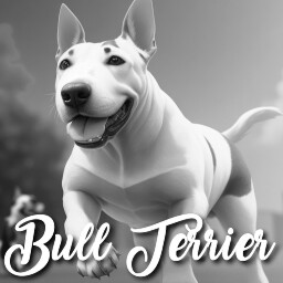 BULL TERRIER
