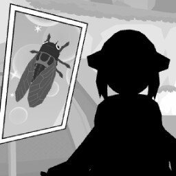 Kei, Rare Bugs, and Jumping Shrimp!?