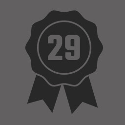 Level 29