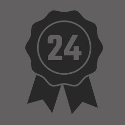 Level 24
