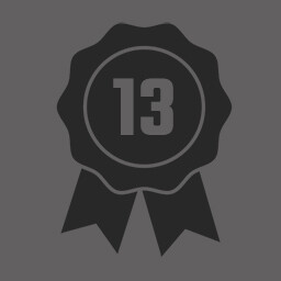 Level 13