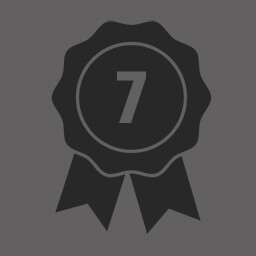 Level 7