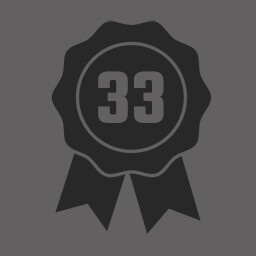 Level 33