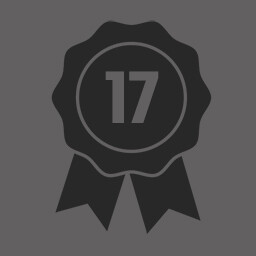Level 17