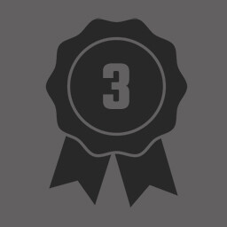 Level 3