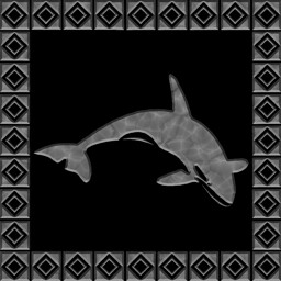 Orca Rider