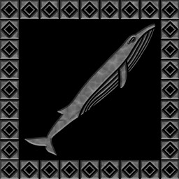 Blue Whale Rider