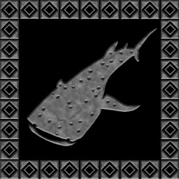 Whale Shark Rider