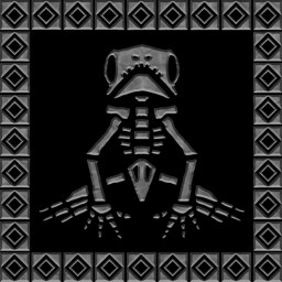Frog Skeleton
