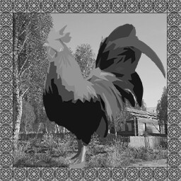 Rooster Master
