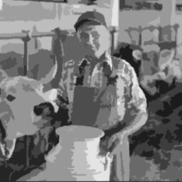 The village farmer