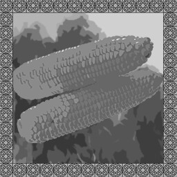 Corn farmer