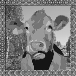 Little cow