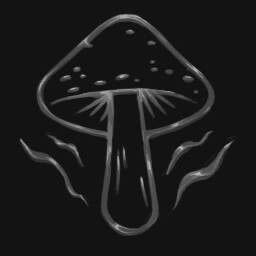 Dream Fungi Rotation