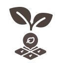 Seedling Acres