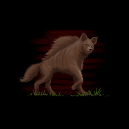 Hyena in the forest