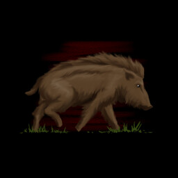 The Boar