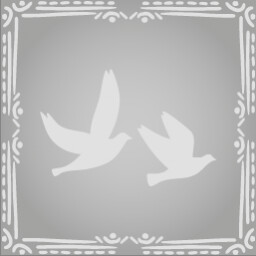 For the Birds