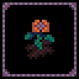 Beginner Gardener