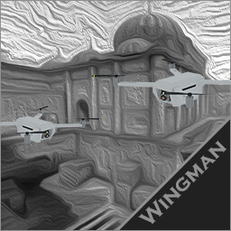 Wingman