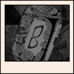 The Sponsor