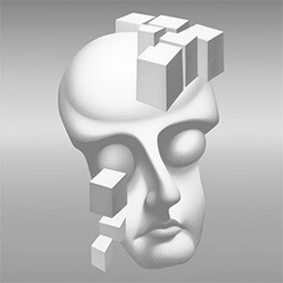 Developer