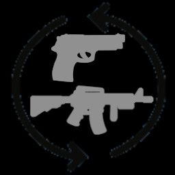Pick up 5 guns 